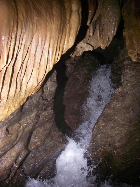 Cave stream, Swildon's Hole, Mendips (photo courtesy of William Kromhout)